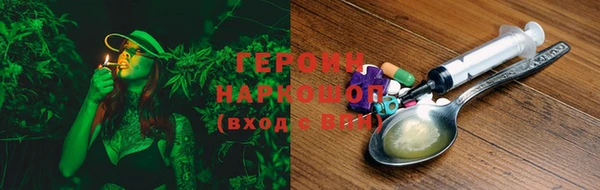 гашик Алексин