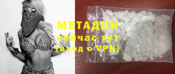 гашик Алексин
