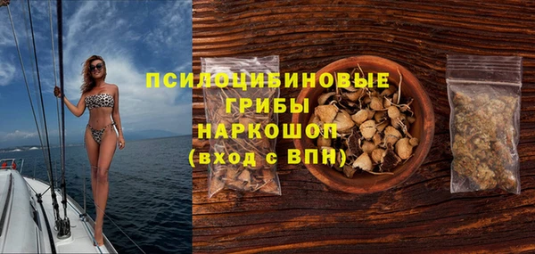 гашик Алексин