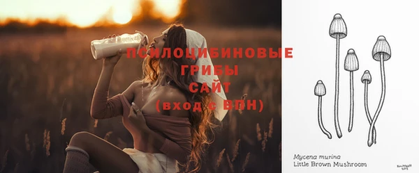 стаф Алексеевка