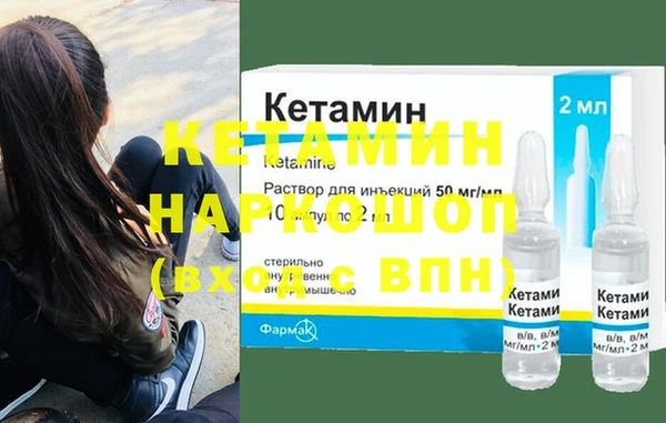 гашик Алексин