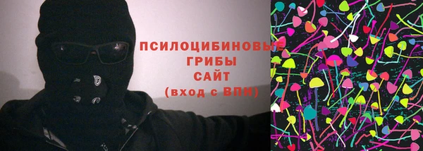 гашик Алексин