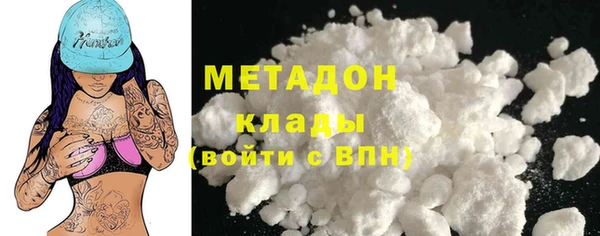 гашик Алексин