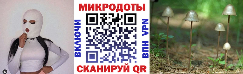 Псилоцибиновые грибы мухоморы  Лихославль 